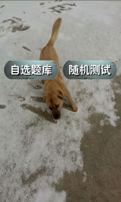 中考物理知识宝典