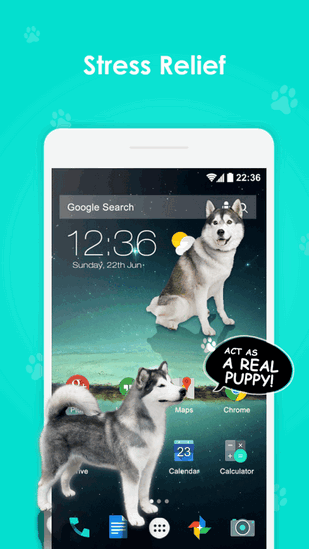 iDoctor