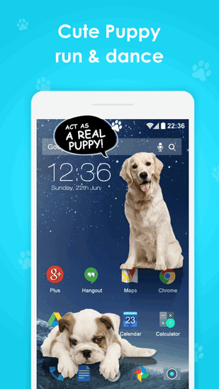 iDoctor